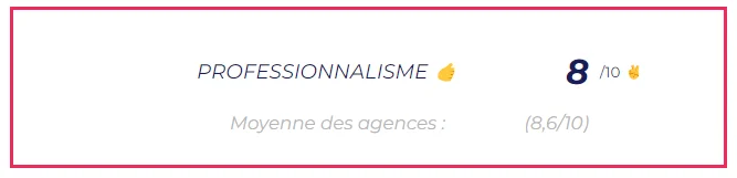 Agences-Marketing-Bordeaux-Bizdev-Solutions- - Professionnalisme