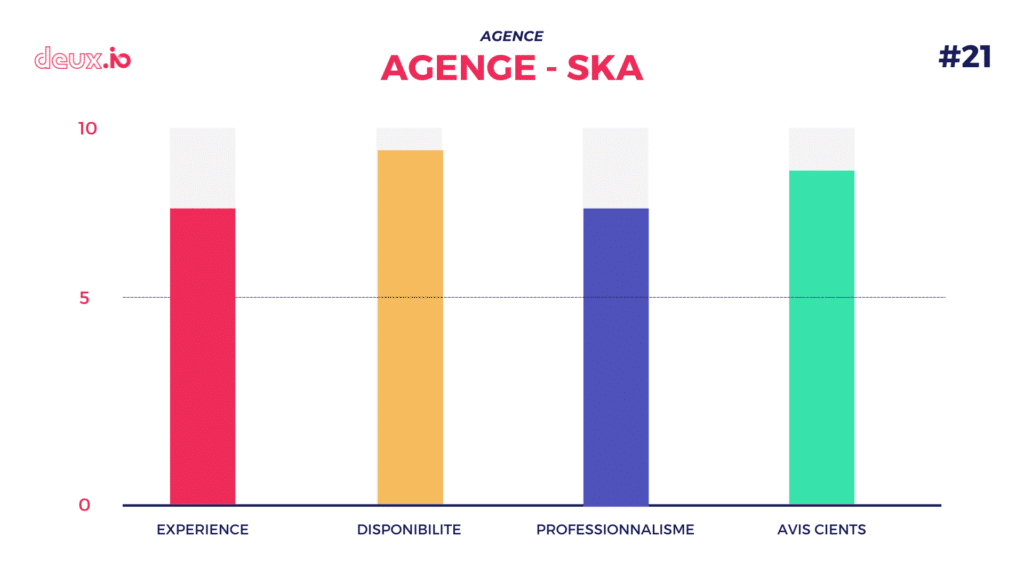 top agence seo ska