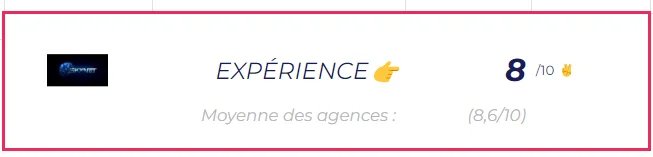Agences-Marketing-Bordeaux-Skynet-Expérience