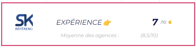 Meilleure Agence SEO Agence SKA Experience