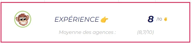 Meilleure Agence SEO Monkey Expérience