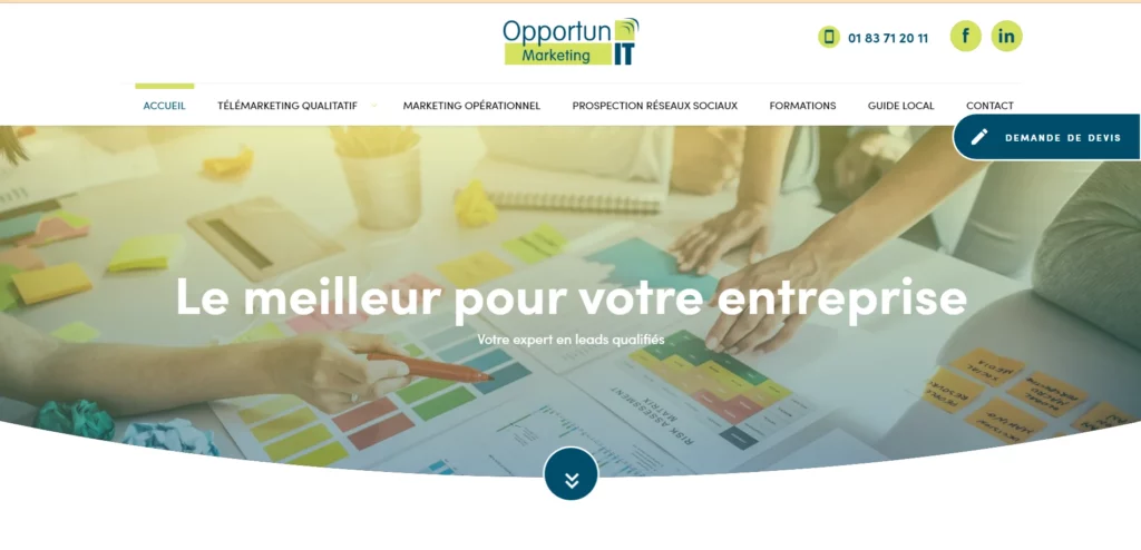 pportun IT agence génération de leads en France