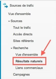 google analytics source de trafic résultats naturels