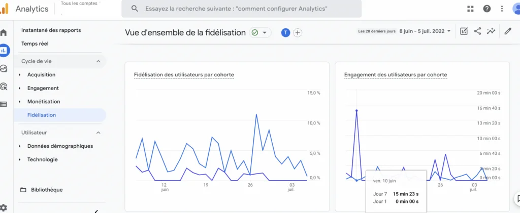 Cohorte Google Analytics