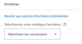 Enchère Google Ads : Maximiser les conversions et Maximiser la valeur de conversion