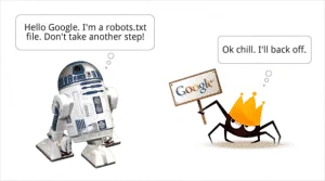 robot txt