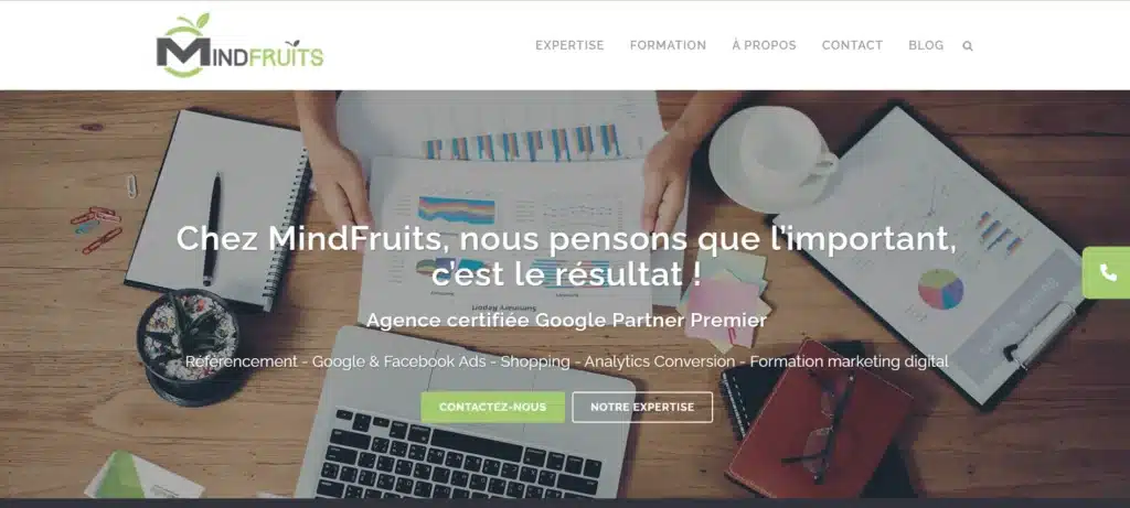 Mindfruits Agence linkedin ads Marseille