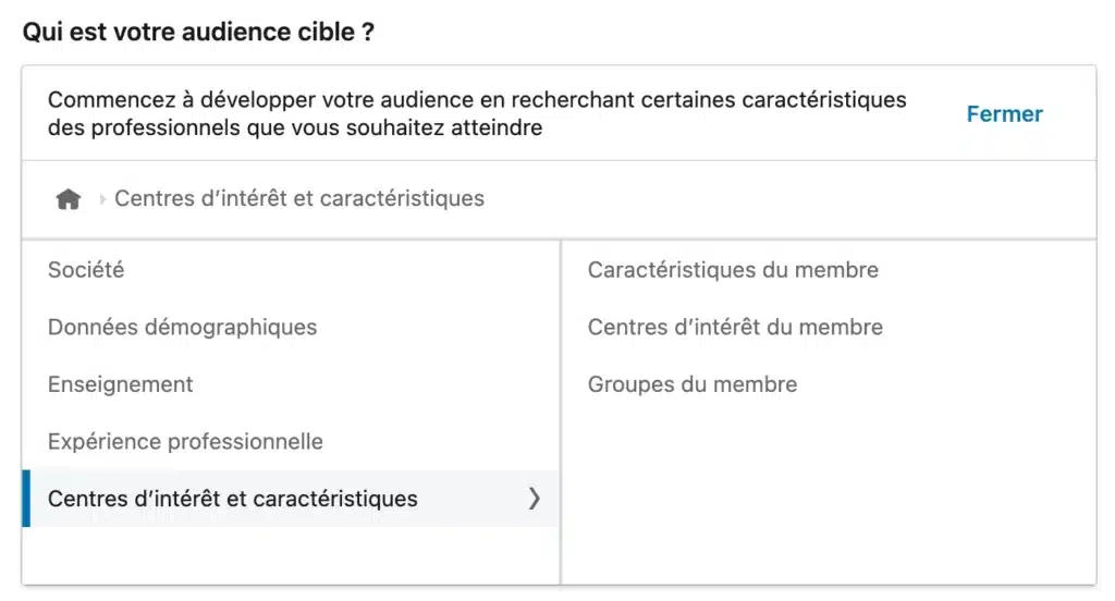 Ciblage Linkedin Ads