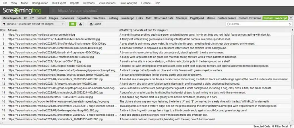 Afficher l'onglet JavaScript custom étape 7
